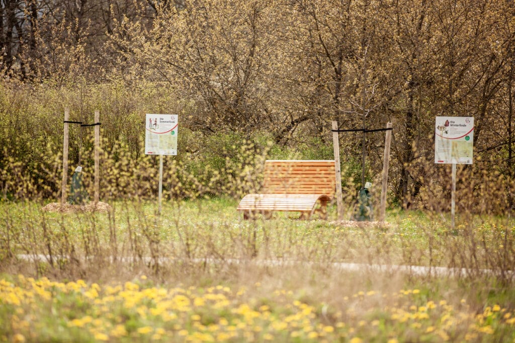 Ausflugstipp: Rhöner BaumART - spaßiges Erlernen von neuem Wissen in der wunderschönen Rhön nahe des Rhön Park Aktiv Resorts