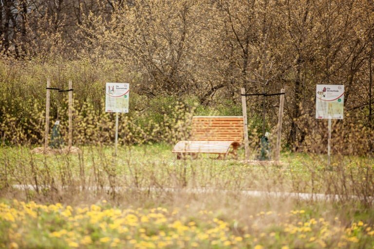 Ausflugstipp: Rhöner BaumART - spaßiges Erlernen von neuem Wissen in der wunderschönen Rhön nahe des Rhön Park Aktiv Resorts