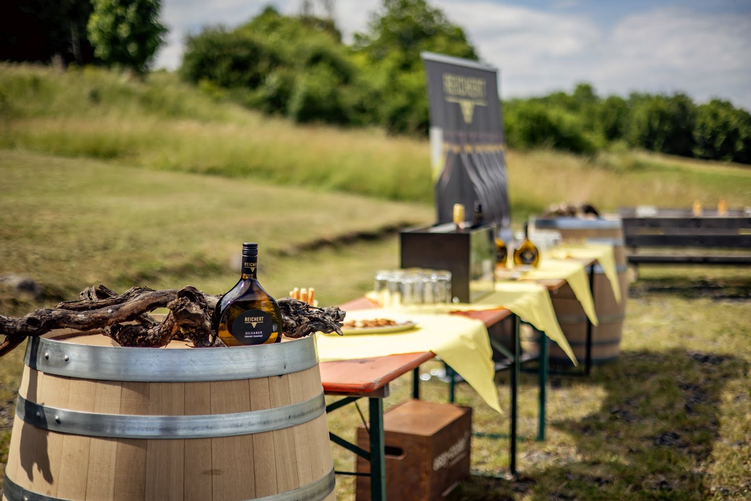 Weinprobe in der Rhön