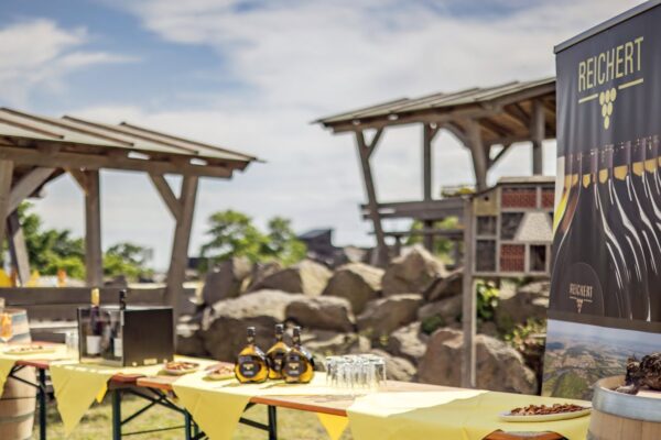 Weinprobe in der Rhön